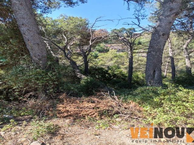 Terreno en venta en Vallirana Parc, Baix Llobregat