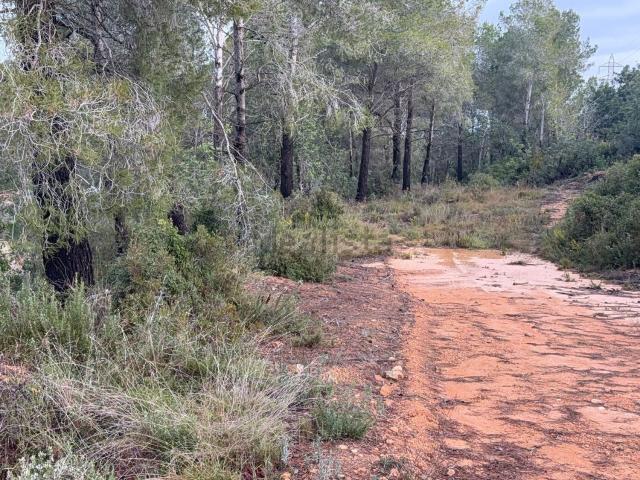 Terreno en venta en Alt Camp, Catalunya