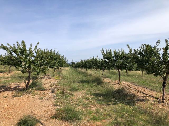 Terreno en venta en Alt Camp, Catalunya