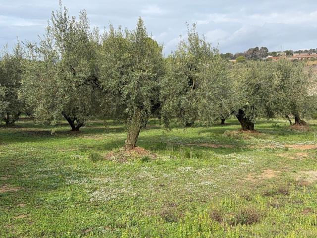 Terreno en venta en Alt Camp, Catalunya