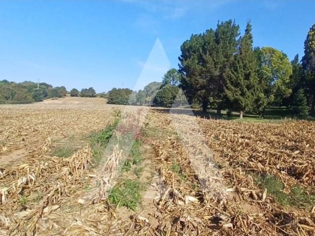 Terreno venda em Cavadas de Baixo, Águeda