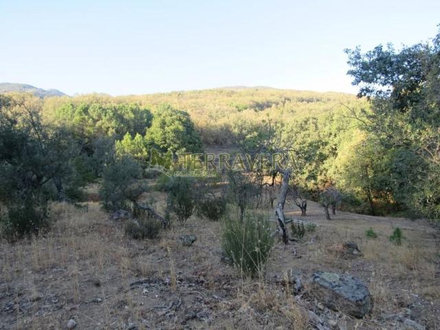 Terreno en venta en Valverde de la Vera, Cáceres