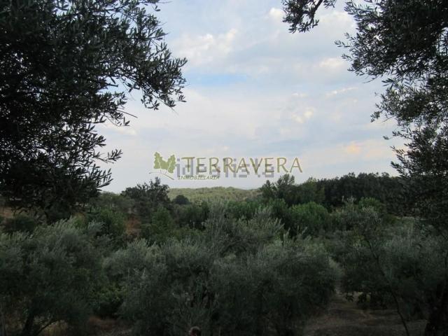 Terreno en venta en Valverde de la Vera, Cáceres