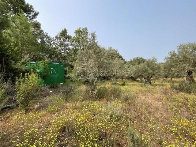 Terreno en venta en Valverde de la Vera, Cáceres