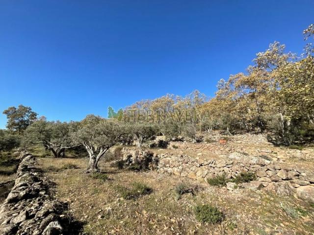 Terreno en venta en Valverde De La Vera, Extremadura