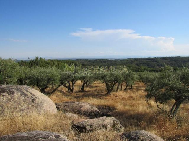 Terreno en venta en Valverde de la Vera, Cáceres