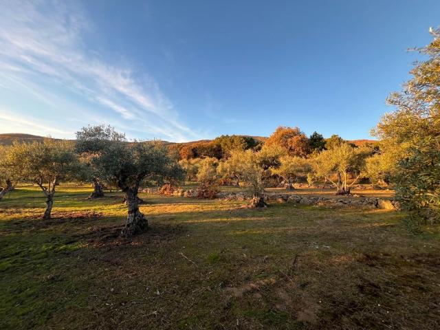 Terreno en venta en Valverde de la Vera, Cáceres