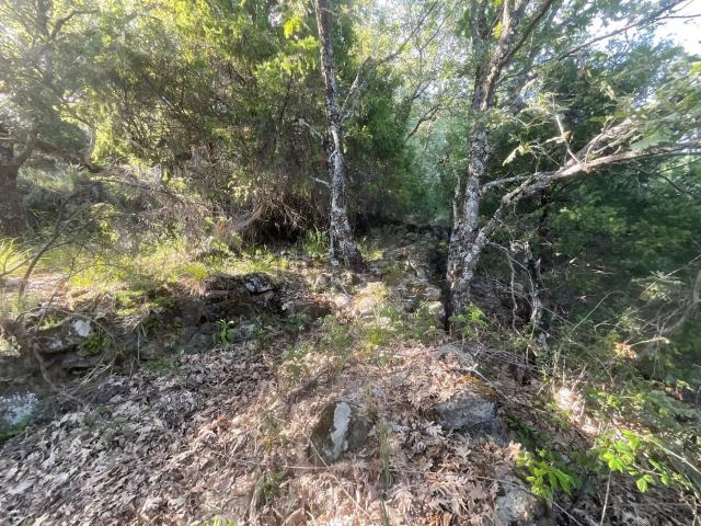 Terreno en venta en Valverde de la Vera, Cáceres