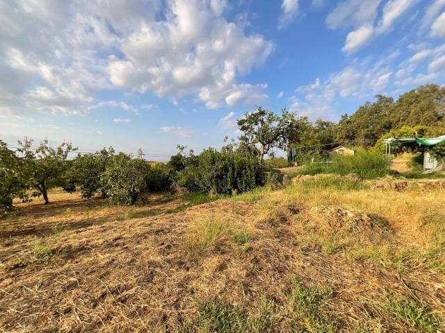 Terreno en venta en Valverde de la Vera, Cáceres