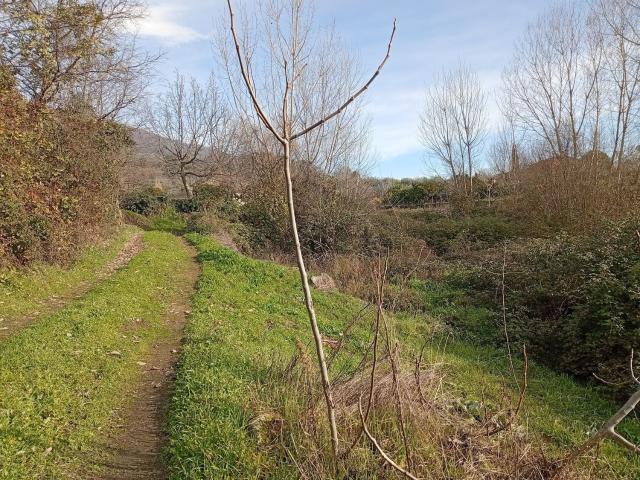 Terreno en venta en Valverde De La Vera, Extremadura