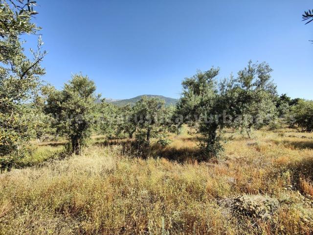 Terreno en venta en Valverde De La Vera, Extremadura
