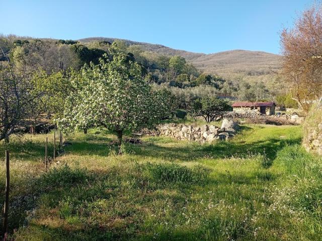 Terreno en venta en Valverde De La Vera, Extremadura