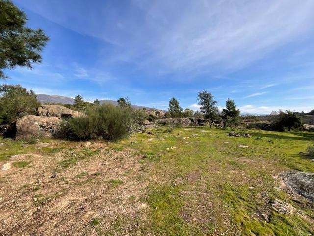 Terreno en venta en Valverde De La Vera, Extremadura