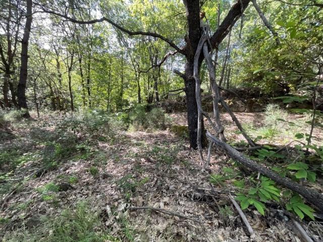 Terreno en venta en Valverde de la Vera, Cáceres