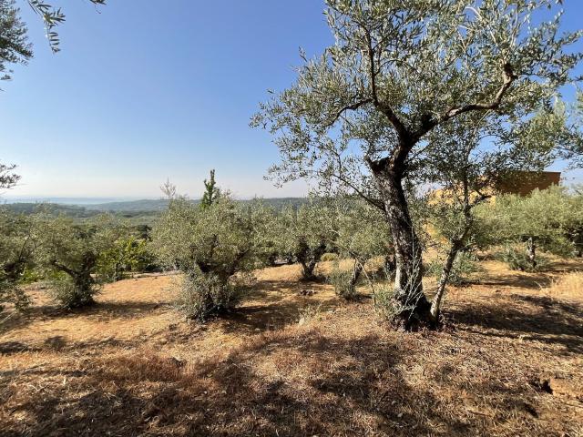 Terreno en venta en Valverde De La Vera, Extremadura