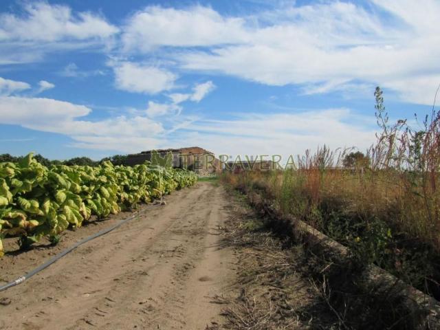 Terreno en venta en Valverde de la Vera, Cáceres