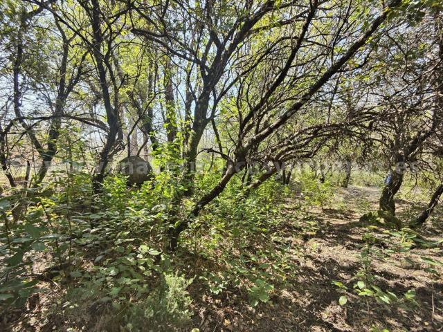 Terreno en venta en Valverde De La Vera, Extremadura