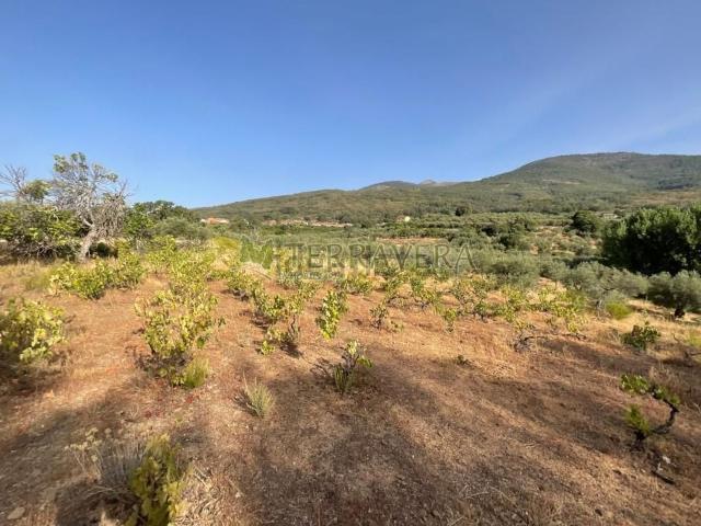 Terreno en venta en Valverde de la Vera, Cáceres