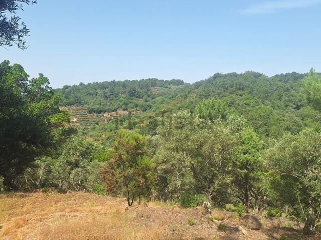 Terreno en venta en Valverde De La Vera, Extremadura