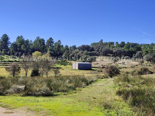 Terreno en venta en Valverde De La Vera, Extremadura