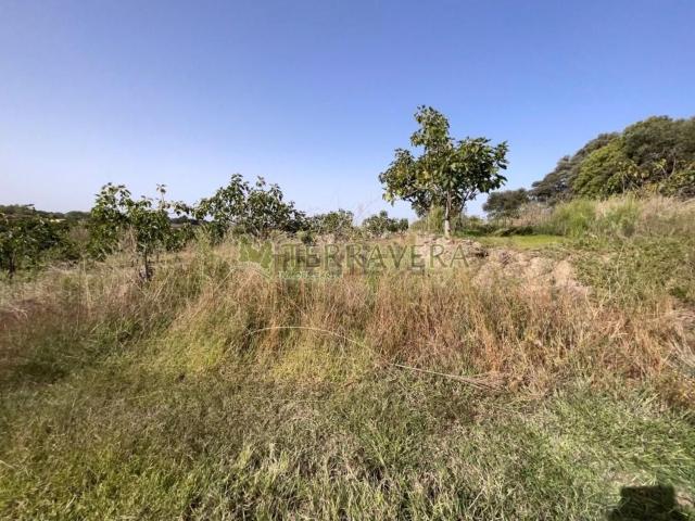 Terreno en venta en Valverde De La Vera, Extremadura
