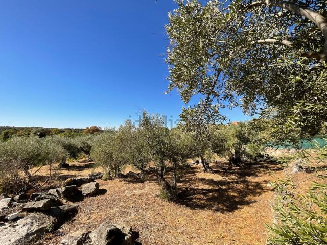 Terreno en venta en Valverde De La Vera, Extremadura