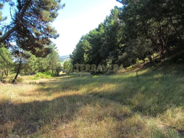 Terreno en venta en Valverde De La Vera, Extremadura