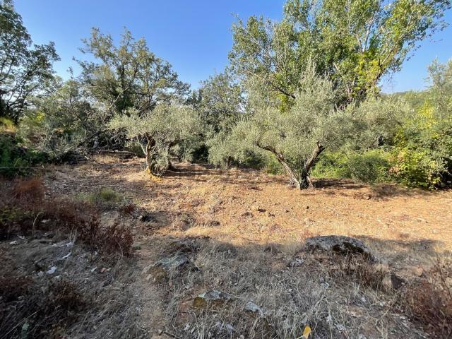 Terreno en venta en Valverde De La Vera, Extremadura