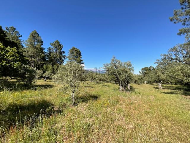 Terreno en venta en Valverde de la Vera, Cáceres