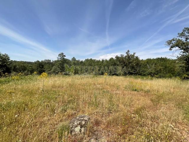 Terreno en venta en Valverde De La Vera, Extremadura