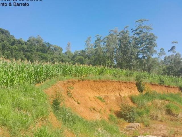 Terreno venda em Região Geográfica Imediata de Montenegro, Região Metropolitana de Porto Alegre