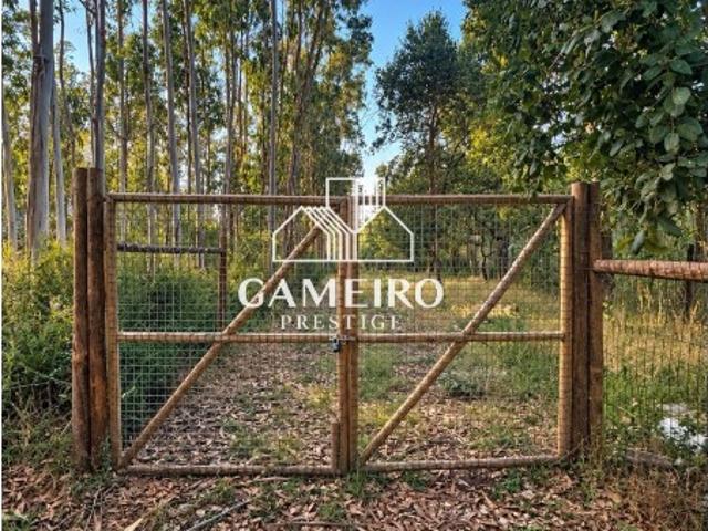 Terreno venda em Nossa Senhora do Pópulo, Caldas Da Rainha