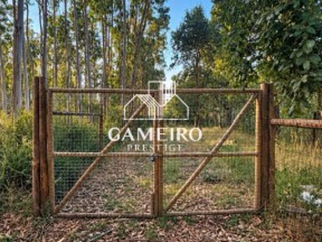 Terreno venda em Caldas Da Rainha, Leiria