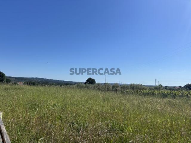 Terreno venda em Tomar, Santarém