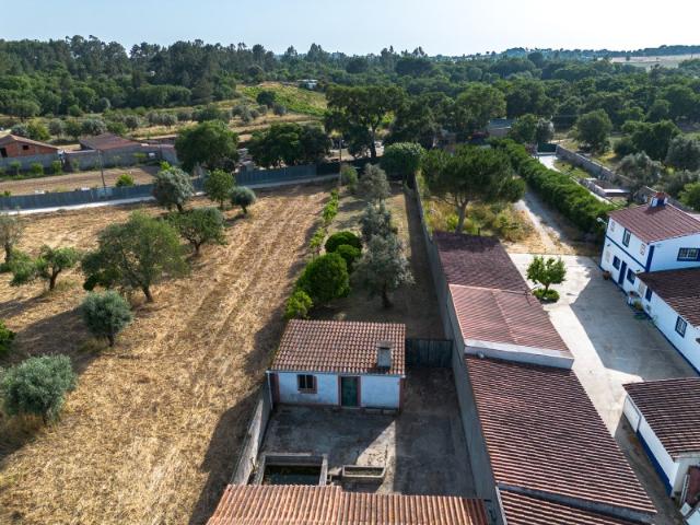 Terreno venda em Olaia e Paço, Torres Novas