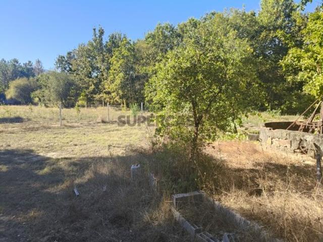 Terreno venda em Lousã, Coimbra