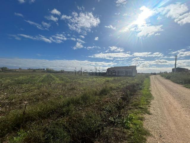 Terreno en venta en Vegaviana, Cáceres