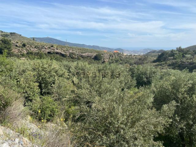 Terreno en venta en Lagos, Comarca de la Costa Granadina