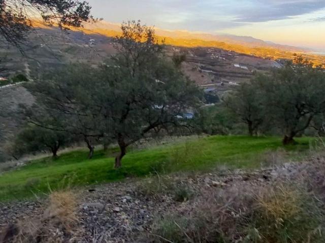Terreno en venta en Benajarafe, La Axarquía