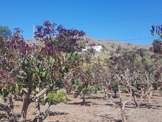 Terreno en venta en Chilches, La Axarquía