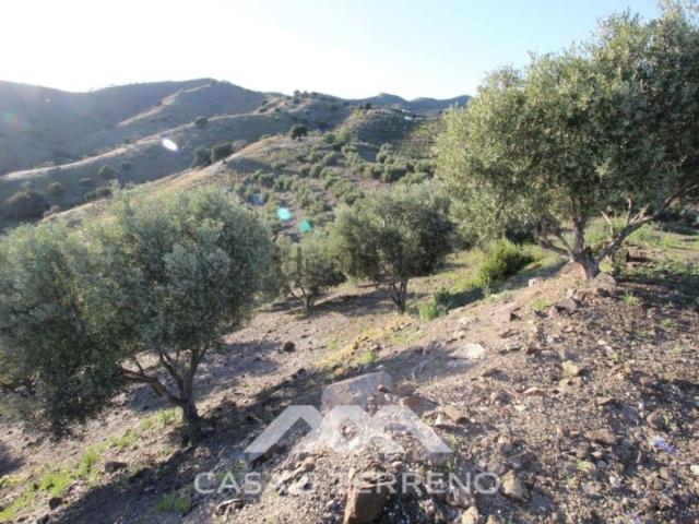 Terreno en venta en Benajarafe, La Axarquía
