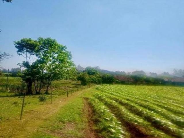 Terreno venda em Vila Arlindo, Venâncio Aires