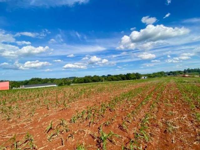 Terreno venda em Venâncio Aires