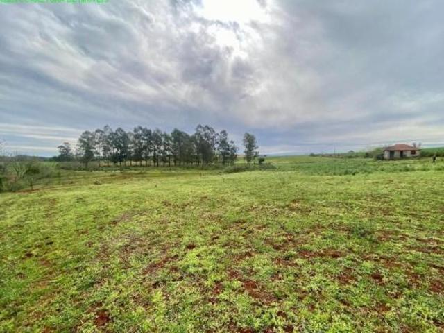 Terreno venda em Vila Palanque, Venâncio Aires
