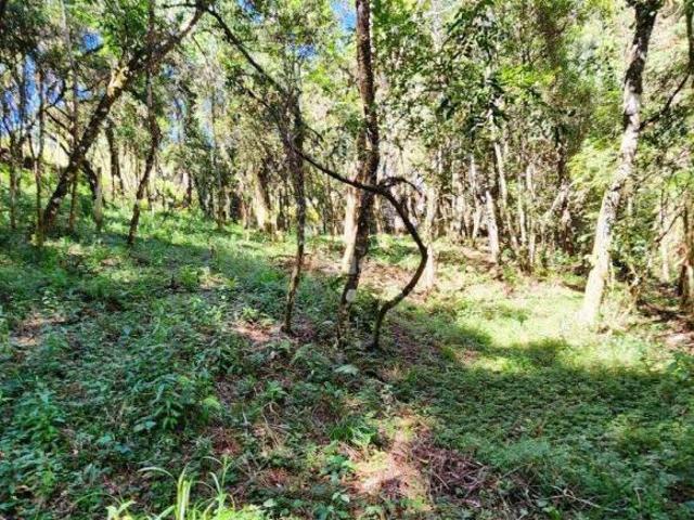 Terreno venda em Região Imediata de Taubaté-Pindamonhangaba, Região Metropolitana do Vale do Paraíba e Litoral Norte