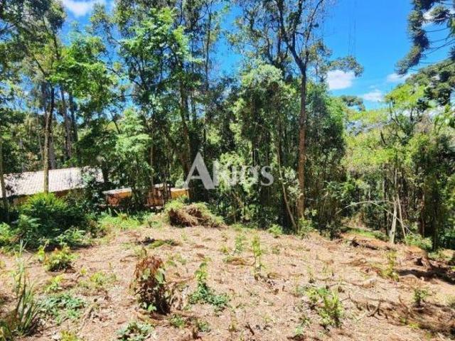 Terreno venda em Região Imediata de Taubaté-Pindamonhangaba, Região Metropolitana do Vale do Paraíba e Litoral Norte