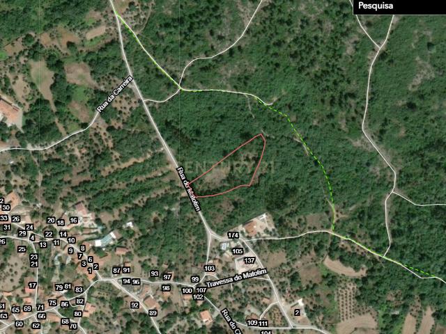 Terreno venda em Porto De Mós, Leiria