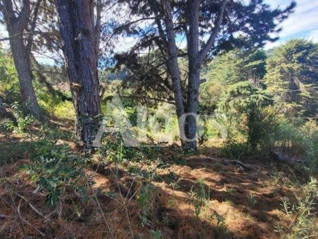 Terreno venda em Região Imediata de Taubaté-Pindamonhangaba, Região Metropolitana do Vale do Paraíba e Litoral Norte