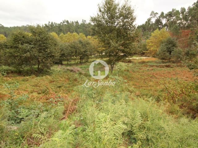 Terreno venda em Celorico De Basto, Braga