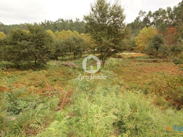 Terreno venda em Celorico De Basto, Braga